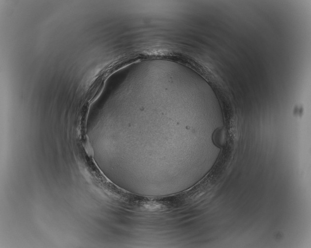 X0000111030547200907091547