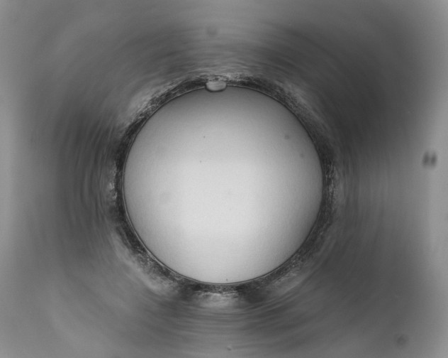 X0000111030548200907091547
