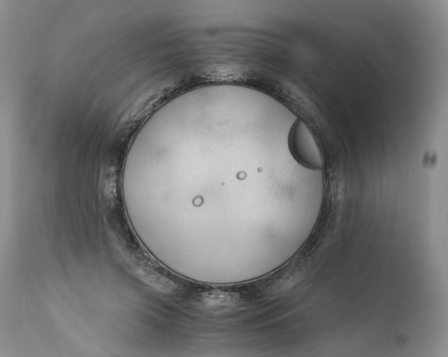 X0000111030549200907091547