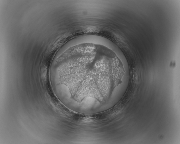 X0000111030550200907091547