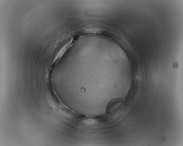 X0000111030551200907091547