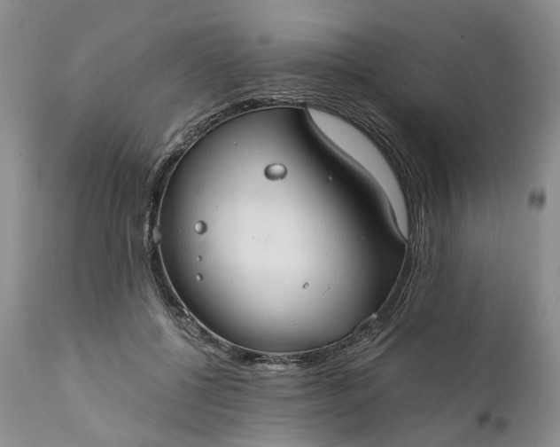 X0000111030552200907091547