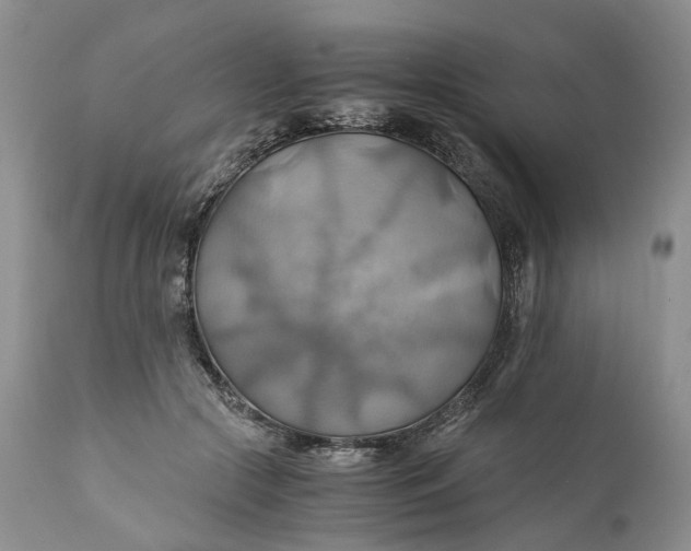 X0000111030553200907091547