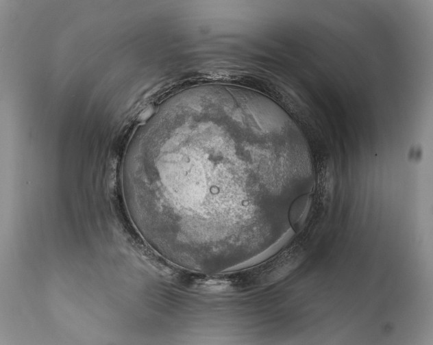 X0000111030554200907091547