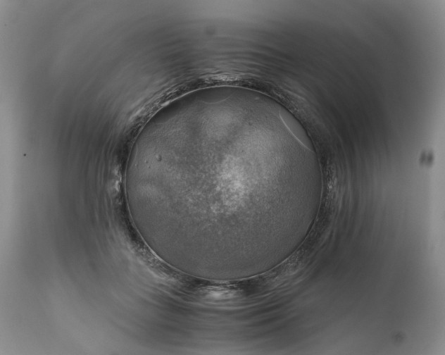 X0000111030555200907091547
