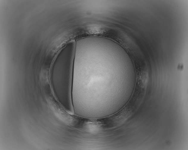 X0000111030556200907091547