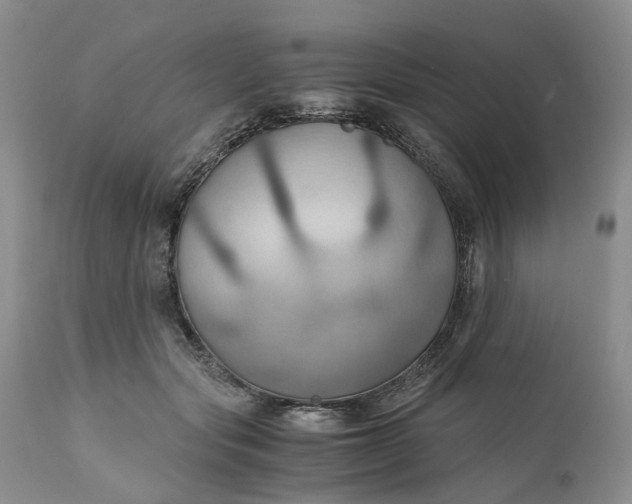 X0000111030557200907091547