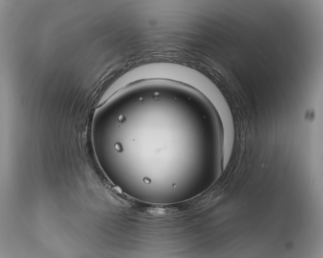 X0000111030558200907091547