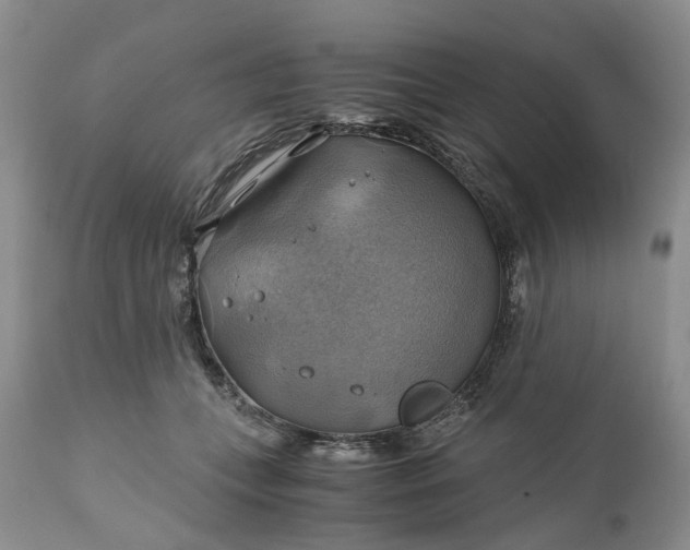 X0000111030559200907091547