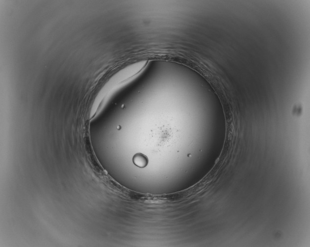 X0000111030560200907091547
