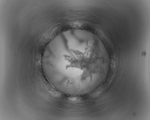 X0000111030561200907091547