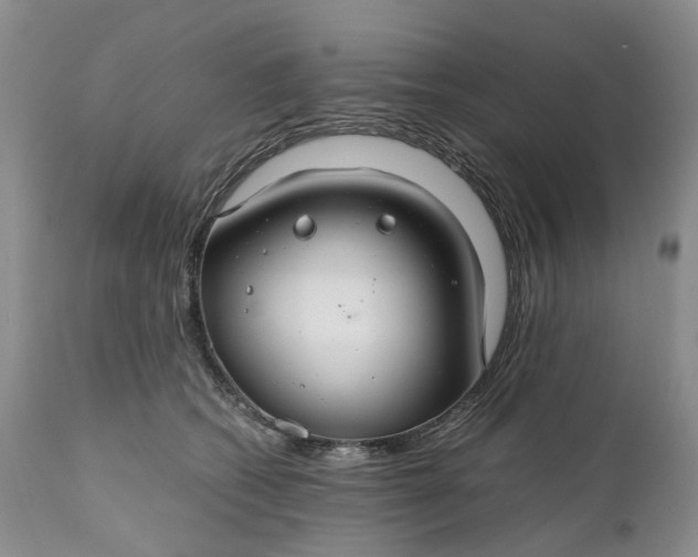 X0000111030562200907091547