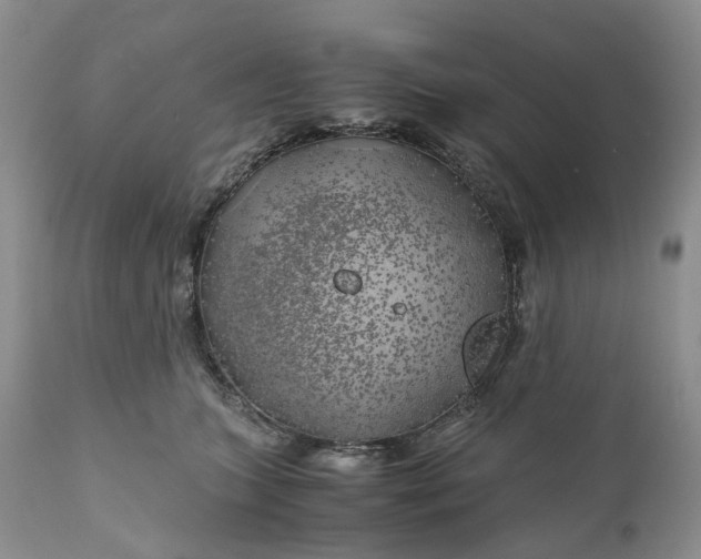 X0000111030563200907091547