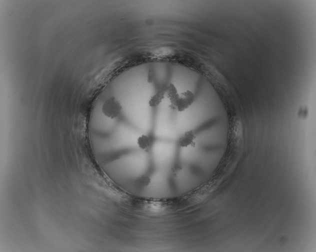 X0000111030565200907091547