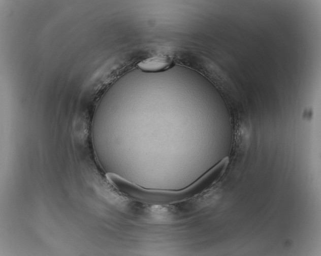 X0000111030566200907091547