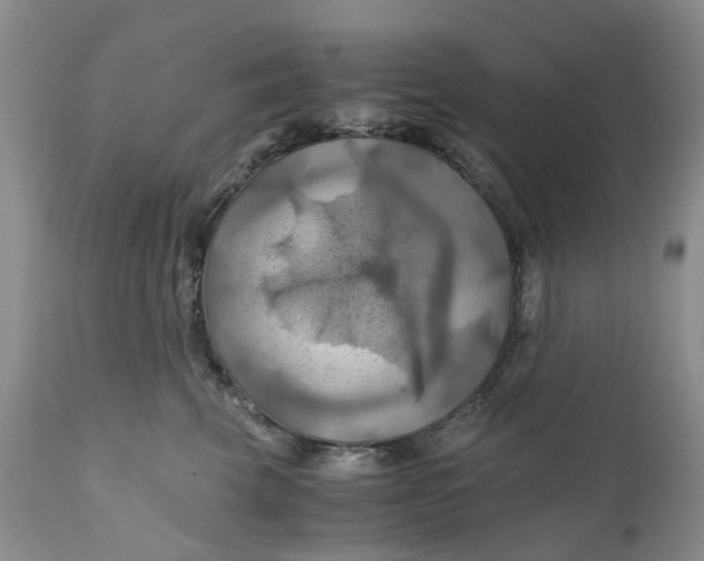 X0000111030569200907091547