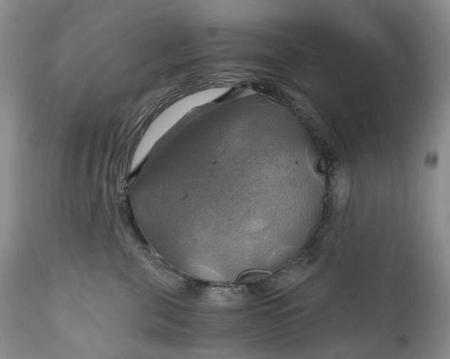 X0000111030571200907091547