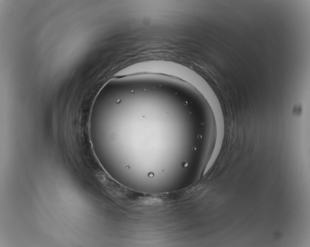 X0000111030572200907091547