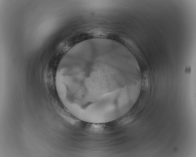 X0000111030573200907091547