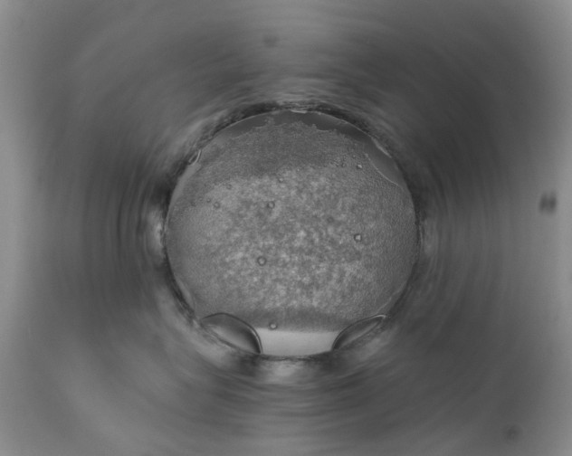 X0000111030575200907091547