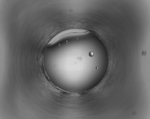 X0000111030576200907091548