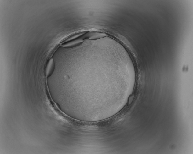 X0000111030577200907091547