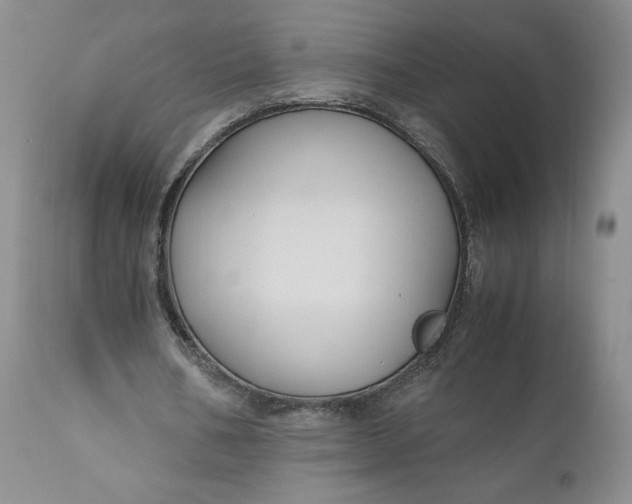 X0000111030578200907091547