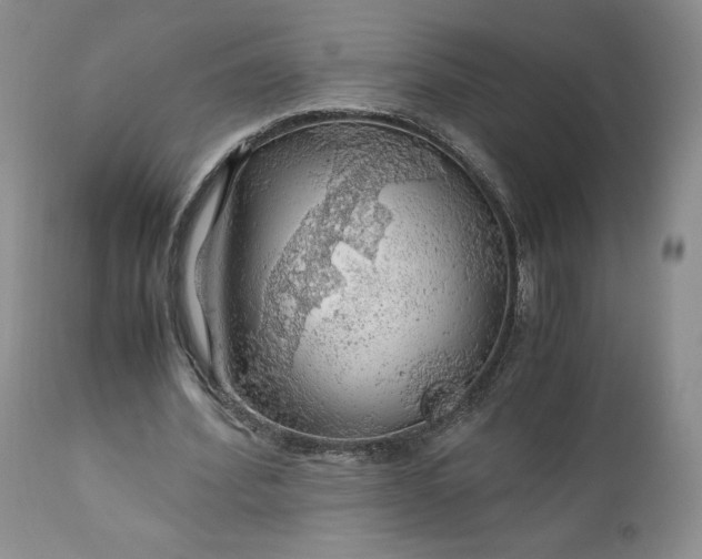 X0000111030580200907091547