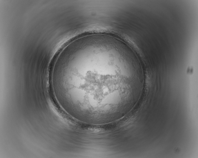 X0000111030582200907091547