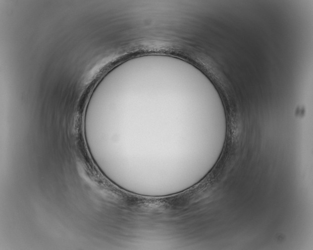 X0000111030583200907091547