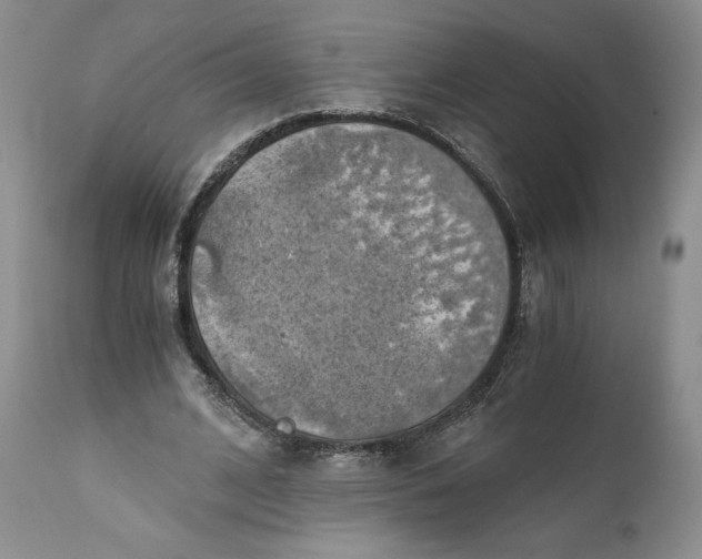 X0000111030584200907091547