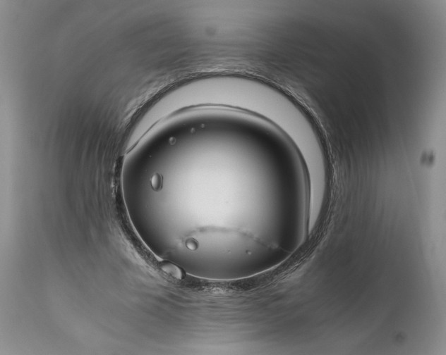 X0000111030585200907091547