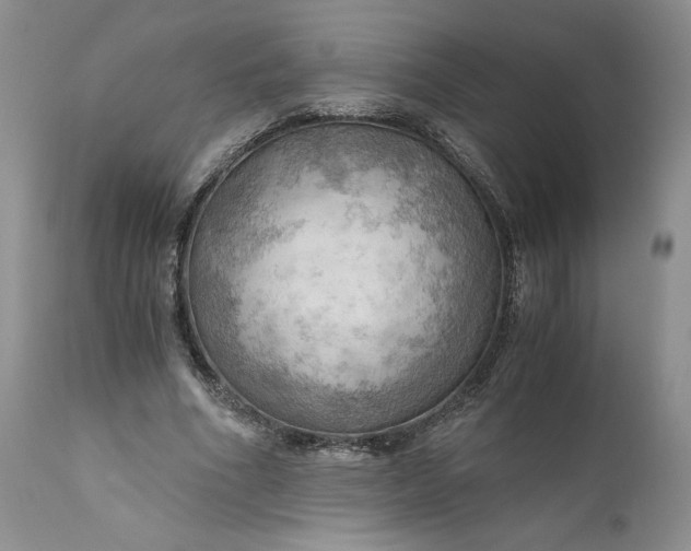 X0000111030586200907091547