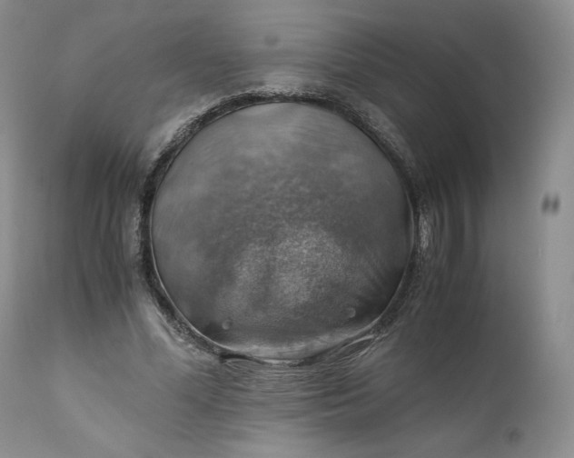 X0000111030588200907091547