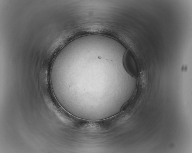 X0000111030589200907091547