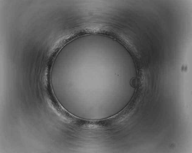 X0000111030590200907091547