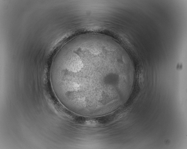 X0000111030591200907091547