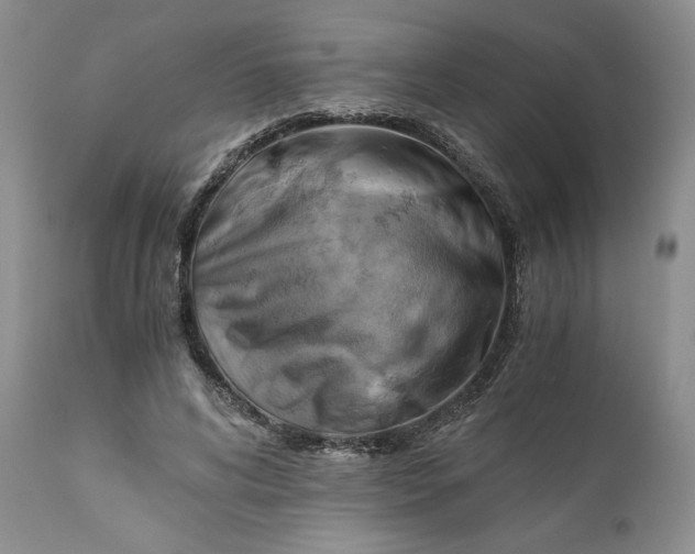 X0000111030592200907091547