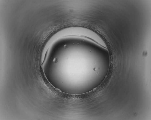 X0000111030593200907091547