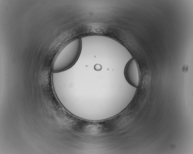 X0000111030595200907091547