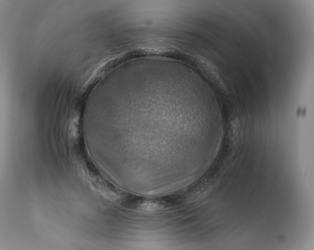 X0000111030596200907091547