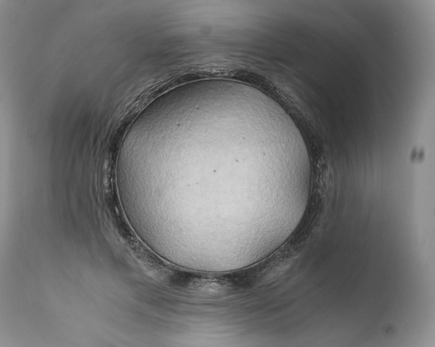 X0000111030597200907091547