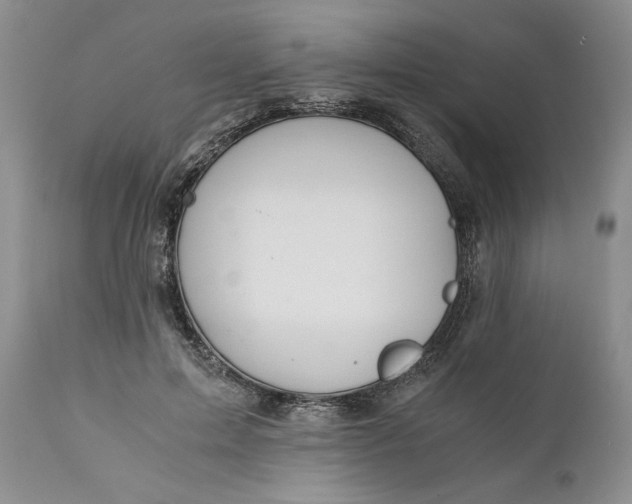 X0000111030599200907091547