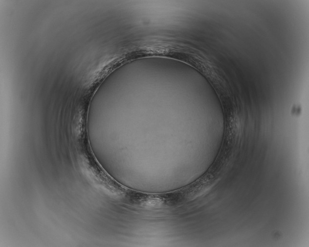 X0000111030600200907091547