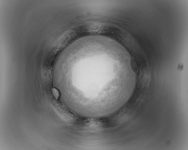 X0000111030601200907091547