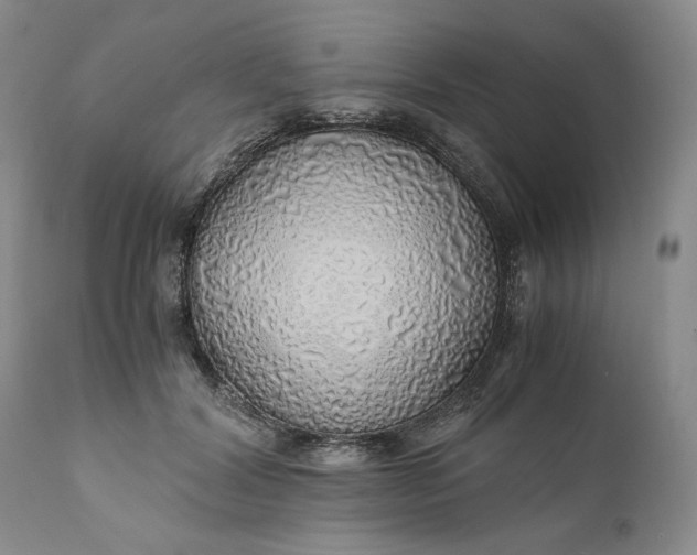 X0000111030604200907091546