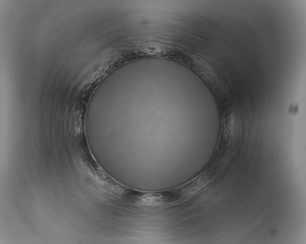 X0000111030606200907091546