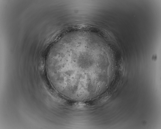 X0000111030607200907091546