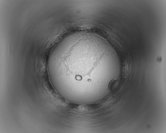 X0000111030608200907091546