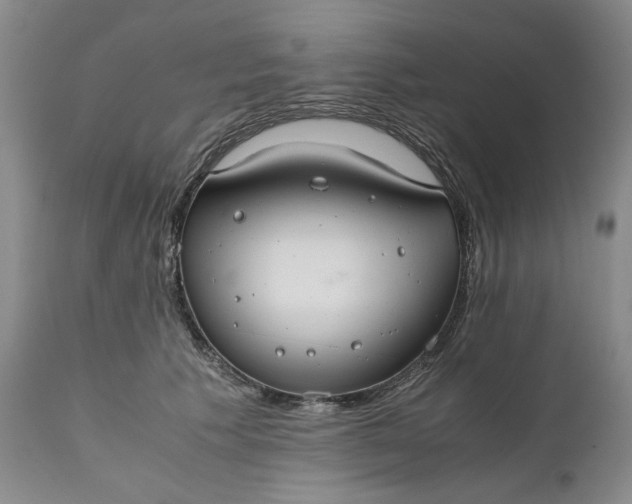 X0000111030609200907091546